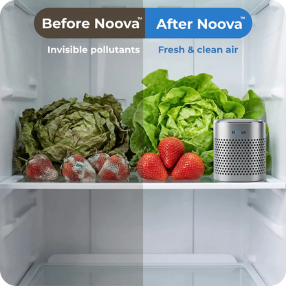 Equinure™ Fridge Purifier